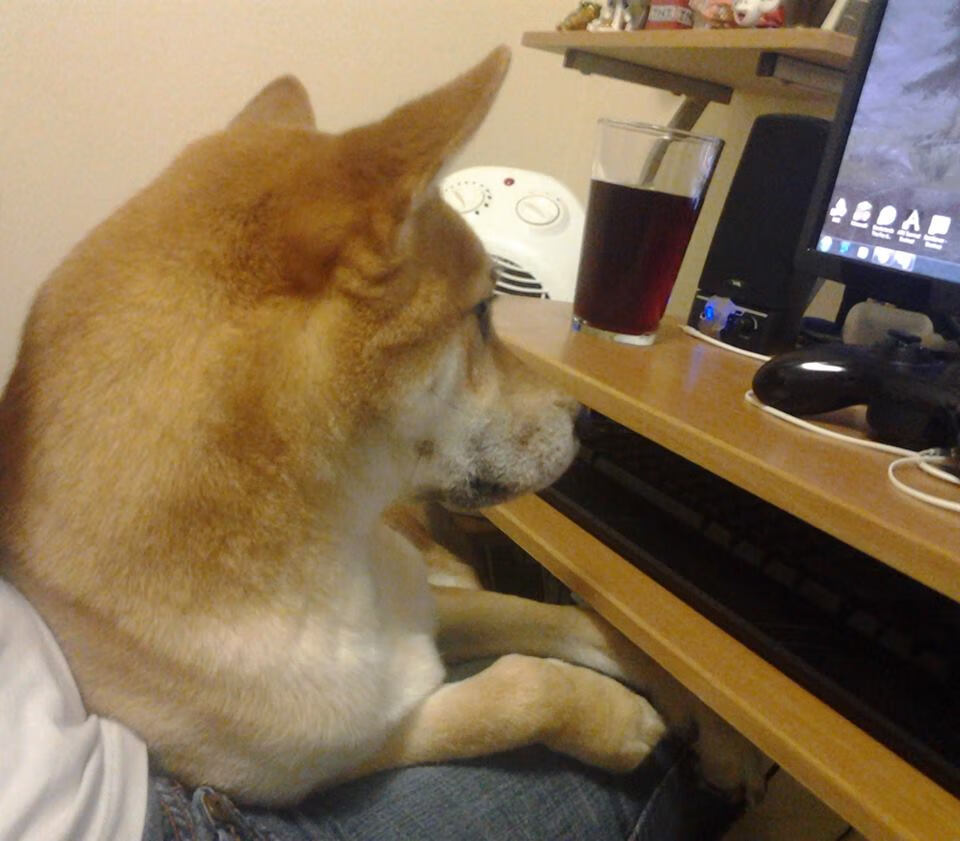 女足职业联赛联动青训体系培养后备力量，女足青年队