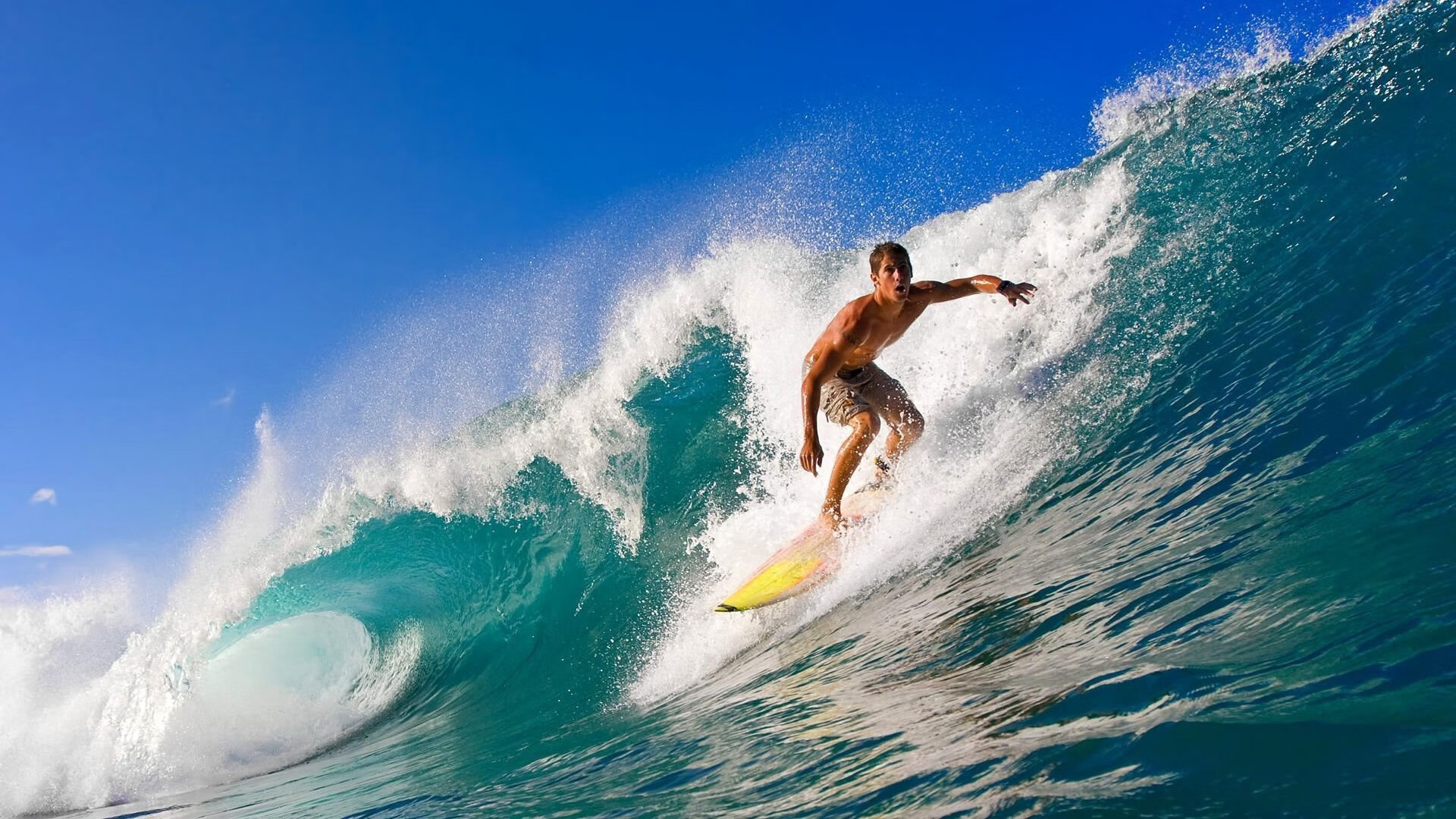 “安赫尔·巴尔博萨的反击速度与精准传球，成为阿根廷美洲狮队的核心动力”